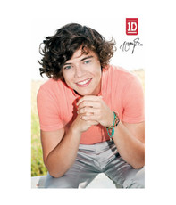 Harry Poster 