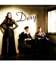 One Day I'm Going To Soar CD Album