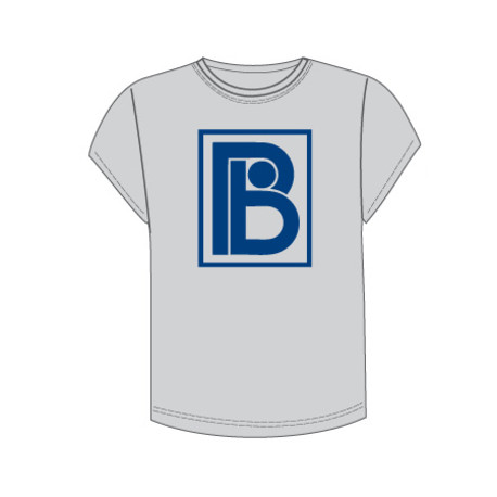 Plan B Logo Ladies T-Shirt Grey