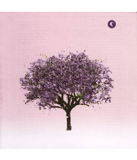 Tomorrow Morning CD Album