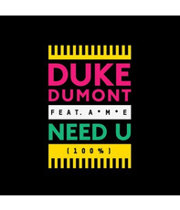 Duke Dumont Featuring AME Need U 100% 12